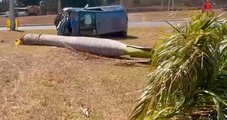 Motorista fica ferido após bater em palmeira e capotar no Lago Norte (DF)
