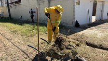 Mutirão contra a dengue será realizado neste sábado no bairro Pio XII, em Teresina