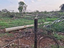 Trabalhador morre ao levar choque em cerca energizada por fio de alta tensão no Carioca (Foto: Reprodução/Itamaar Buzzatta)