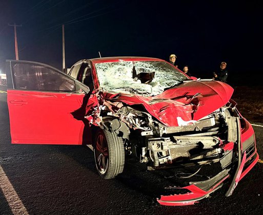 Colisão com carro deixa dois cavalos mortos e dois vaqueiros feridos na PI-236, em Hugo Napoleão; retornavam de cavalgada