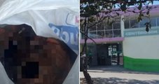 Coveiro e mulher são presos após furto de crânio humano em cemitério de MG