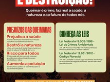 Paes (Foto: )