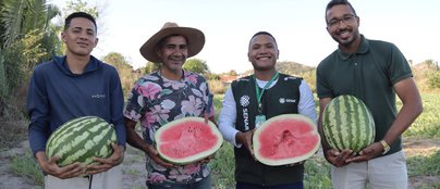 Prefeitura de Monsenhor Gil acompanha produção de melancia e reforça incentivo à agricultura local